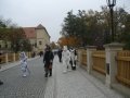 IMGP3171.JPG